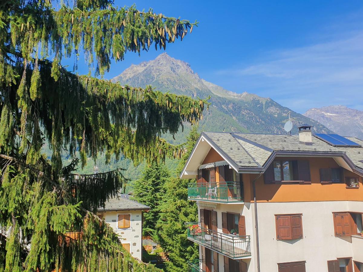 Hotel Fior di Monte Caspoggio Esterno foto